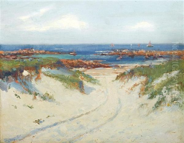 Path Through The Dunes - view 1