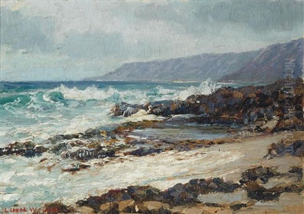 View Of The Hawaiian Coast - view 1