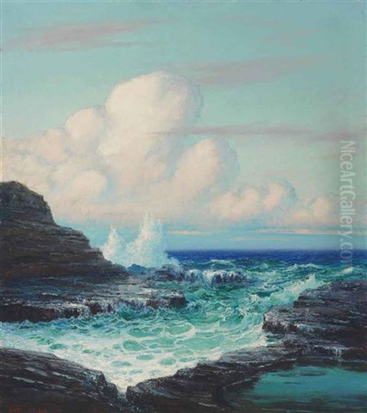 Hawaiian Ocean With Waves Against The Rocks by Lionel Walden