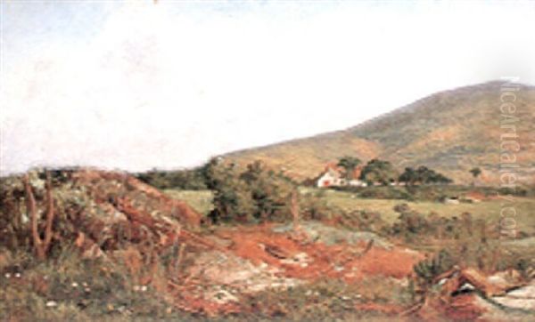 Summer Landcape - view 1