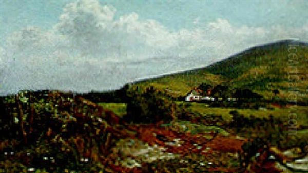 A Farmstead In An Extensive Rural Landscape - view 1