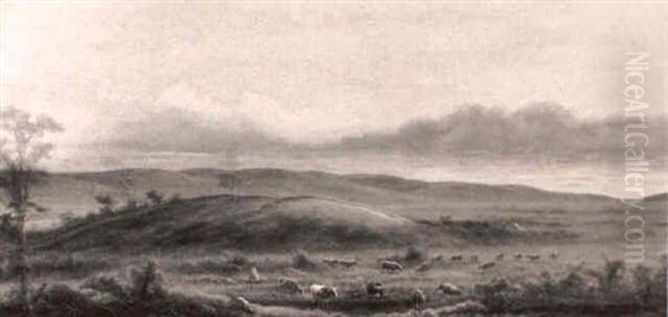 Salinas Valley - view 1