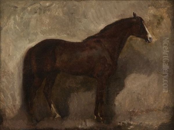 Portrait De Cheval - view 1