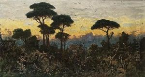 A Forest At Sunset