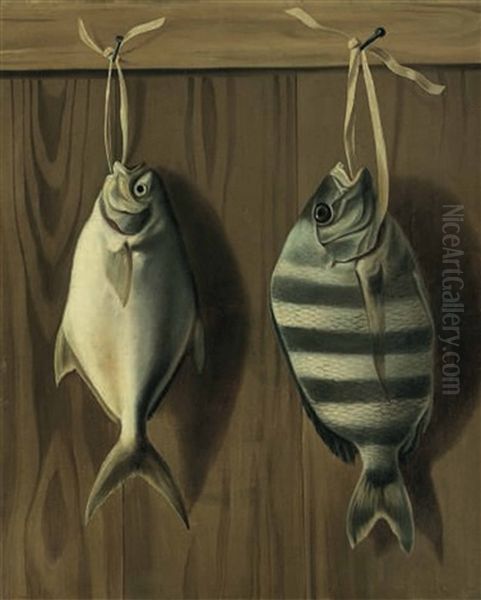 Dollarfish And Sheepshank - view 1