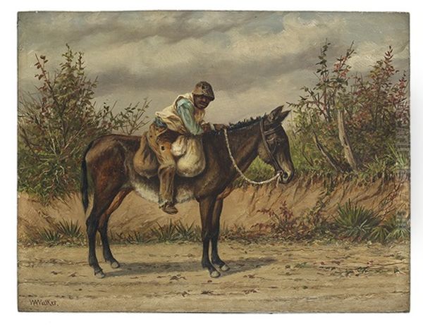 Young Boy On A Mule - view 1