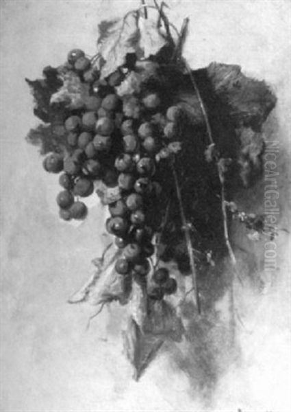 Still Life With Grapes - view 1