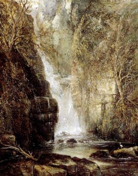 The Falls - view 1