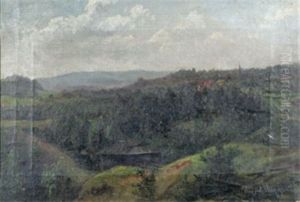 Nya Kopparberget (study)