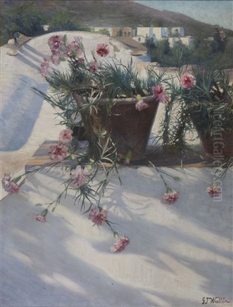 Southern Village With Carnations In A Pot - view 1