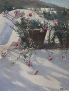 Southern Village With Carnations In A Pot