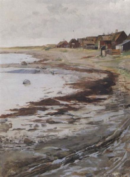 Strandlandskap Fran Torekov - view 1