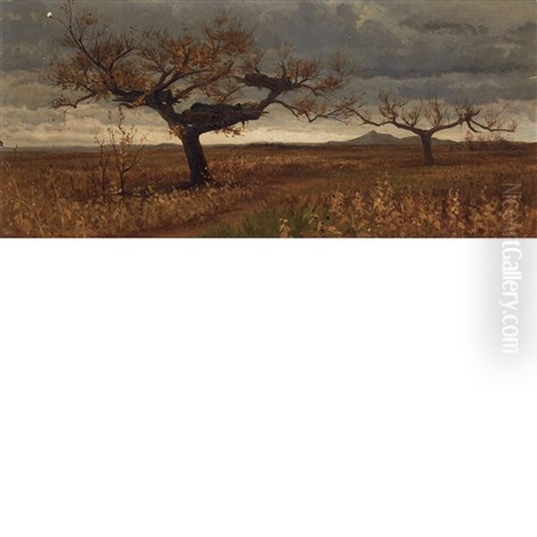 Indian Burial Grounds, Dakota; The Indian Burial Trees (2 Works) - view 1