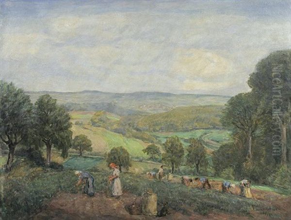 Blick Von Hollerbach Im Frankenland Auf Buchen - view 1