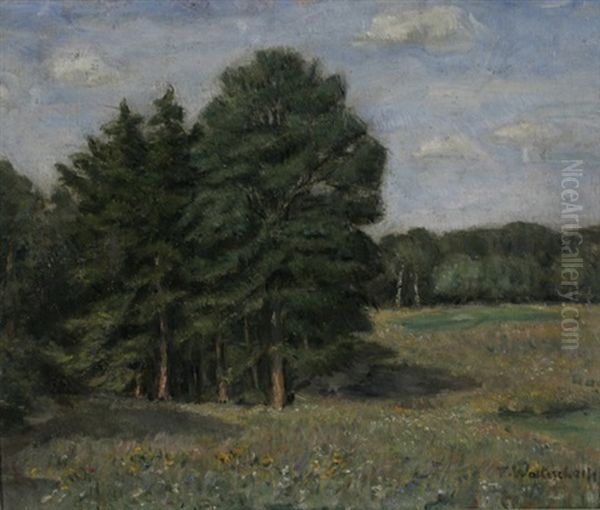 Odenwalder Landschaft Mit Bluhenden Wiesen Und Wald - view 1