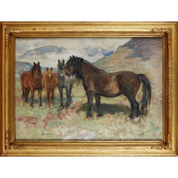 Kintail Ponies - view 1
