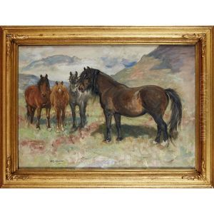 Kintail Ponies