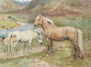 Horses In A Field