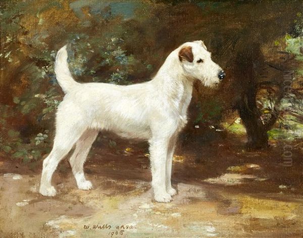 Wire Fox Terrier In A Landscape - view 1