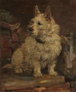 Cluny - A Scottish Terrier