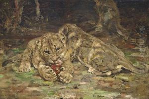 Lion Cubs At Rest