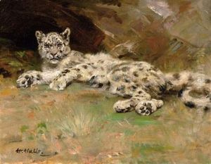 Sneeuwluipaard (+ Studie Van Een Jonge Chimpansee; Verso) by William Walls