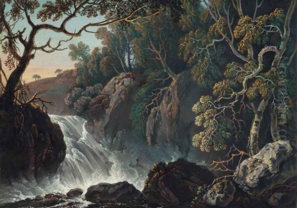 The Dargle In Flood - view 1