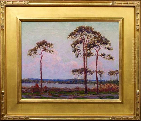 Coffee Pot Bayou, Evening, Near St. Petersburg, Florida - view 1