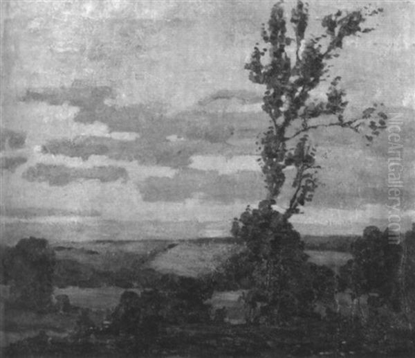The Lone Tree - view 1