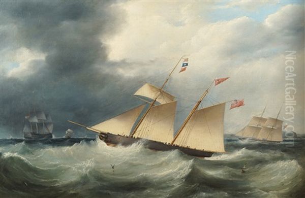 Yachts Racing - view 1