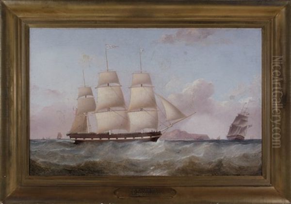 The American Ship Ellen Brooks Homeward Bound - view 1