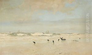 Crows On A Beach