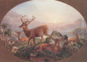 Hirsch Mit Rottier Und Kalbern An Einem See Hirsch Mit Rottier Und Kalbern An Einem See