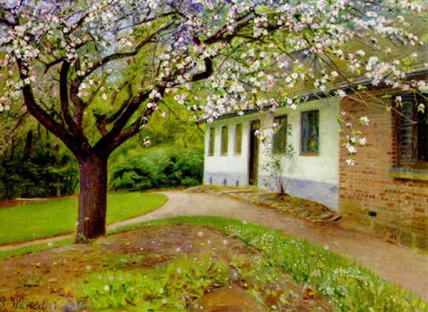 Cherry Blossom - view 1
