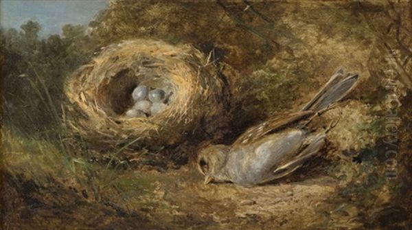 Bird By Its Nest - view 1