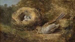 Bird By Its Nest