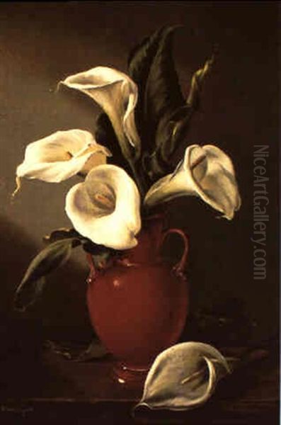 Lillies - view 1