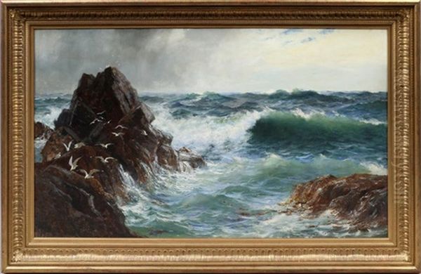 Rocky Coastline - view 1