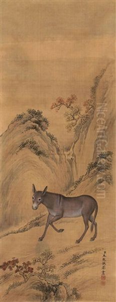 Donkey - view 1