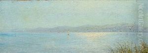 Scenery With Ships In The Sunlight And Hilly Landscape by Albert Evard Wang