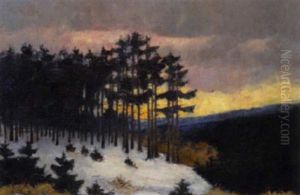 Landschaft Bei Abendrot by Albert Evard Wang
