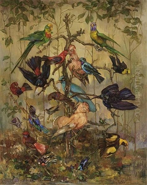 Vogels Van Diverse Pluimage - view 1