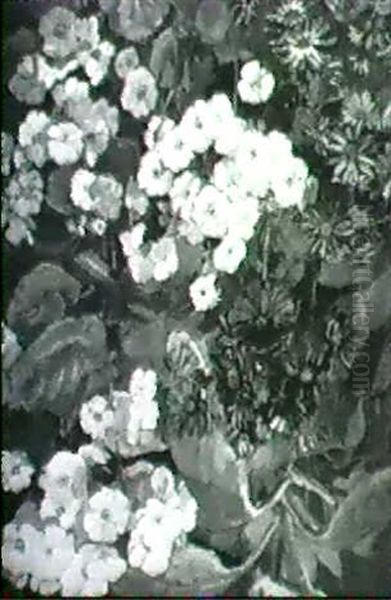 Still Life With Primroses And Cineraria - view 1