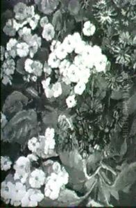 Still Life With Primroses And Cineraria by Marie (Stevels) van Waning