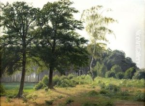 Auf Der Lichtung by Arthur Wansleben