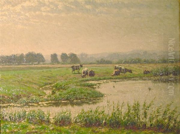 Viehweide An Der Lippe In Gleisendem Sonnenlicht - view 1