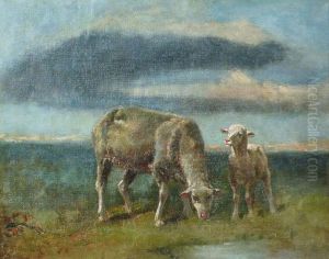 Brebis Et Son Agneau. Brebis Et Son Agneau.