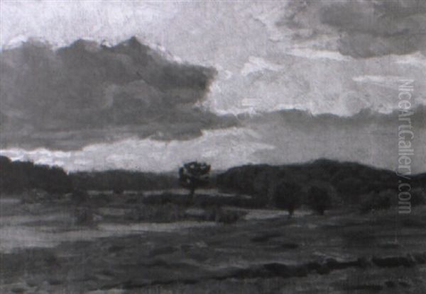 Abendsonne Uber Flacher Wiesenlandschaft - view 1
