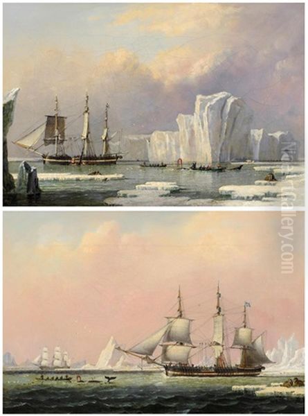 Whaling Ships In Arctic Waters - view 1