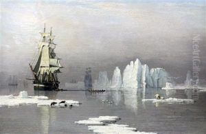 Sailing Ships In The Arctic With Polar Bears And Seals by John Ward Of Hull